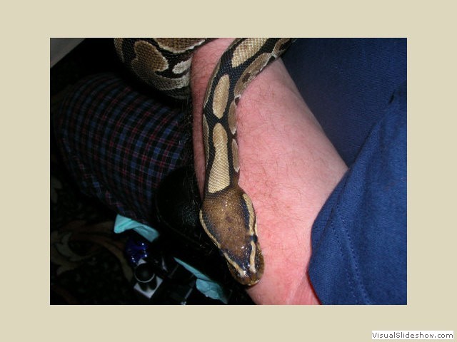 Fred holding Aahz the ball python at CaliFur3 in 2007.